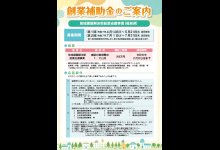チラシ（画像）（表）